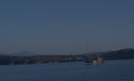 Forming a moorings association